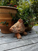 Terracotta Sunfish