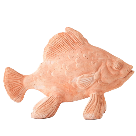 Terracotta Sunfish