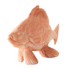Terracotta Sunfish